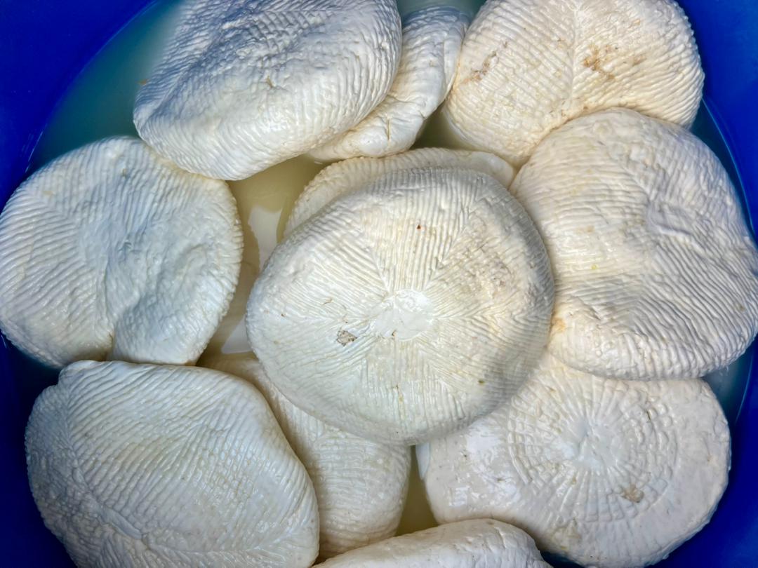 Fromage peulh
